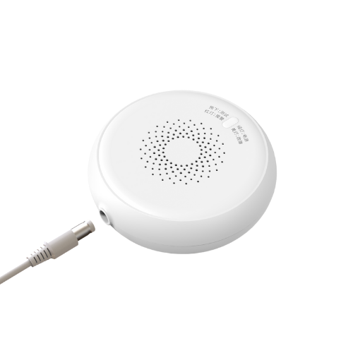 Smart Gas Sensor